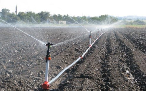 Pipelife-sprinkler-irrigation-field