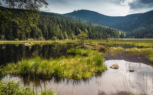 Klimaschutz, Klimawandel, Kampagne, Projekt