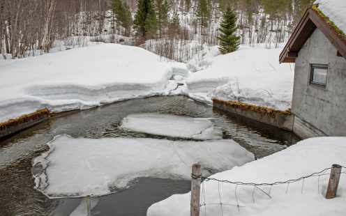 Water management